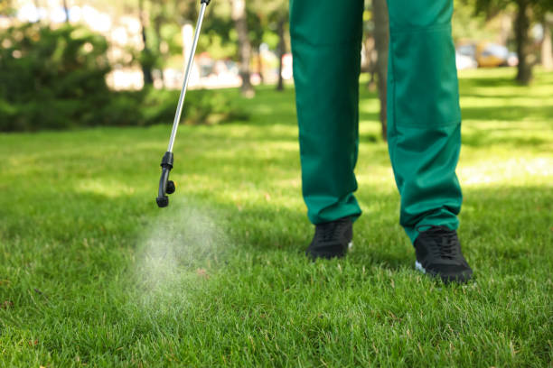 Insect Control in Lauderdale By The Sea, FL