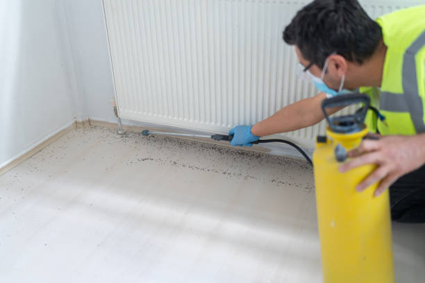 Best Exterminator Services  in Lauderdale By The Sea, FL