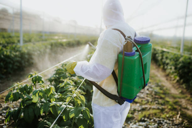 Best Mosquito Control Services  in Lauderdale By The Sea, FL